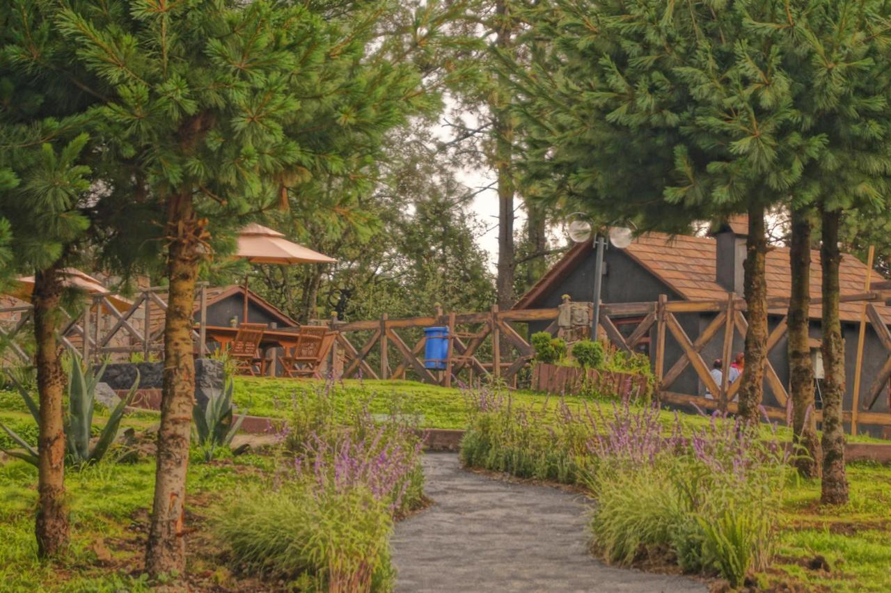 Organico Boutique Hotel 4*
