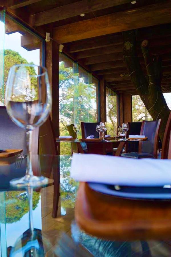 Organico Boutique Hotel Mexico City