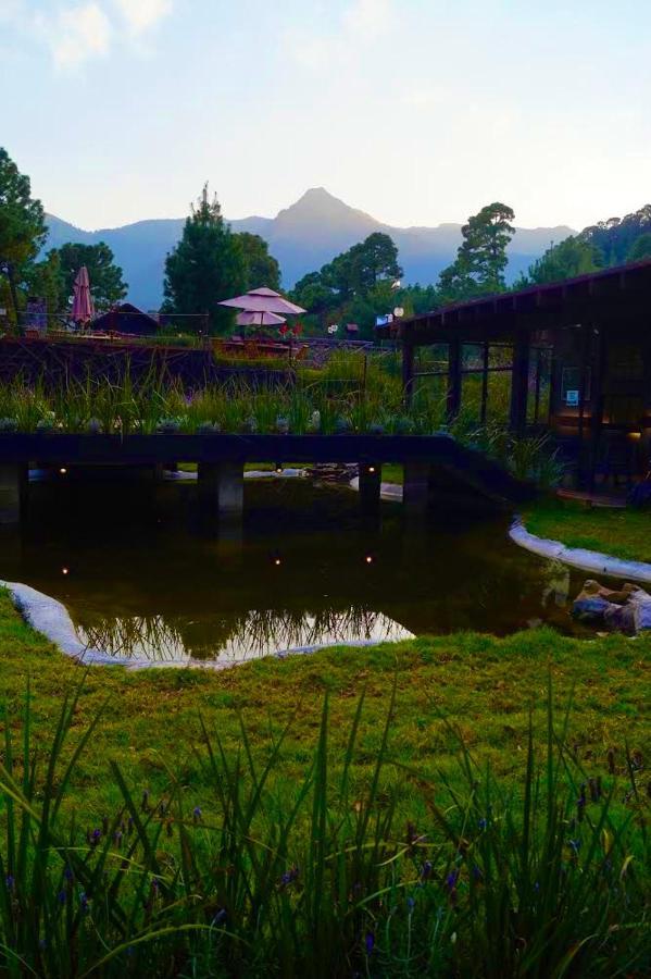 Organico Boutique Hotel 4*
