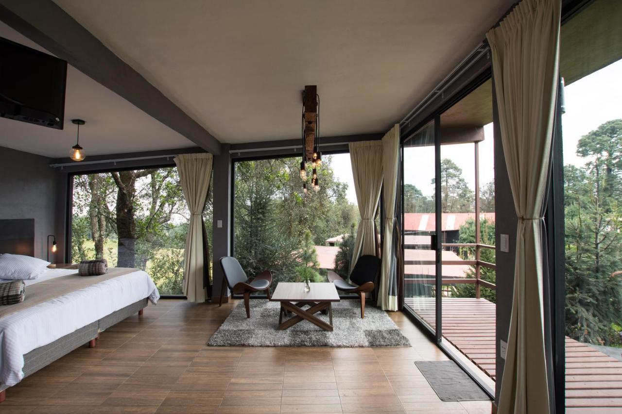 Organico Boutique Hotel Mexico City