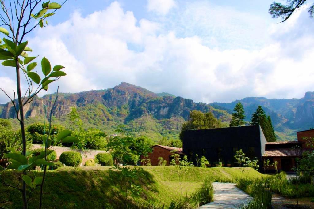 Hotel Organico Boutique Tepoztlan