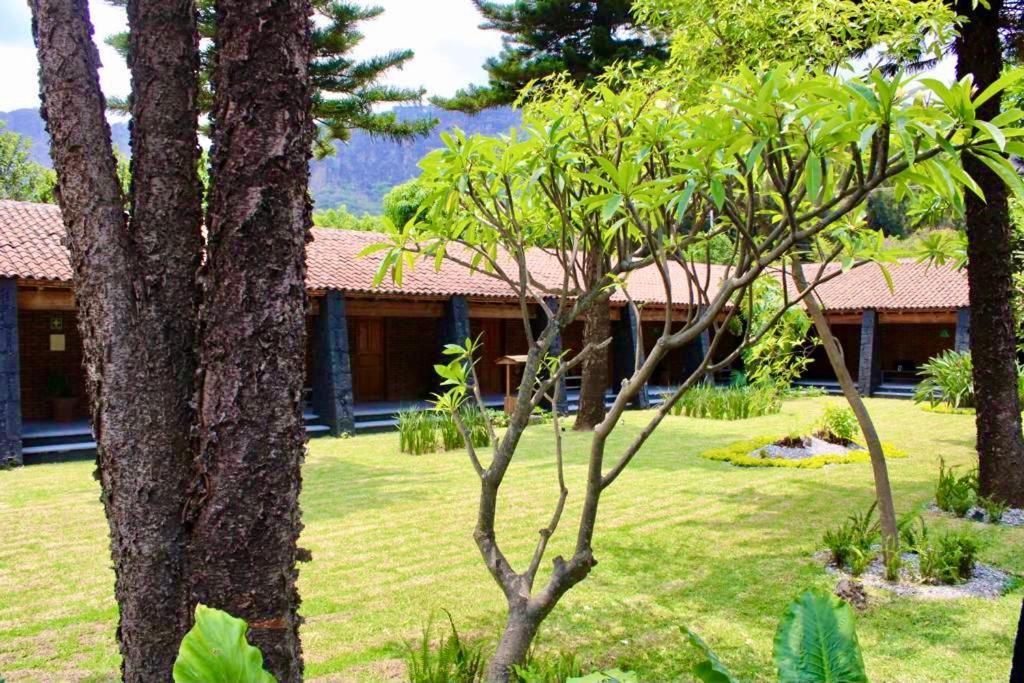 Organico Boutique 5*