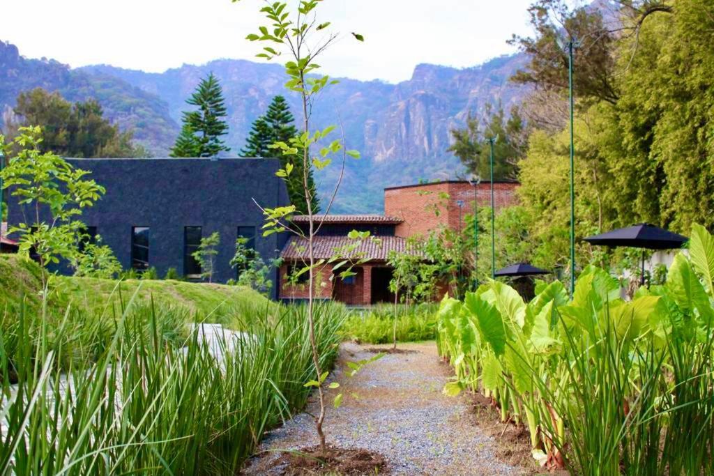 Organico Boutique