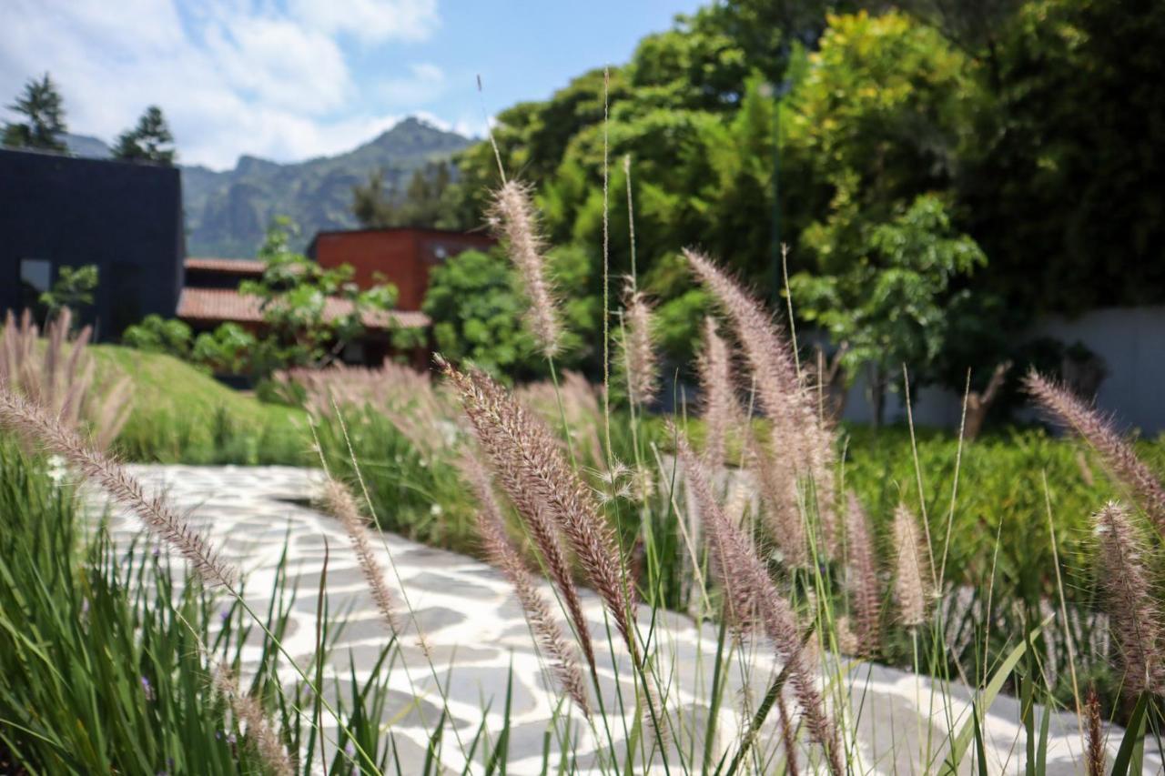Hotel Organico Boutique 5*
