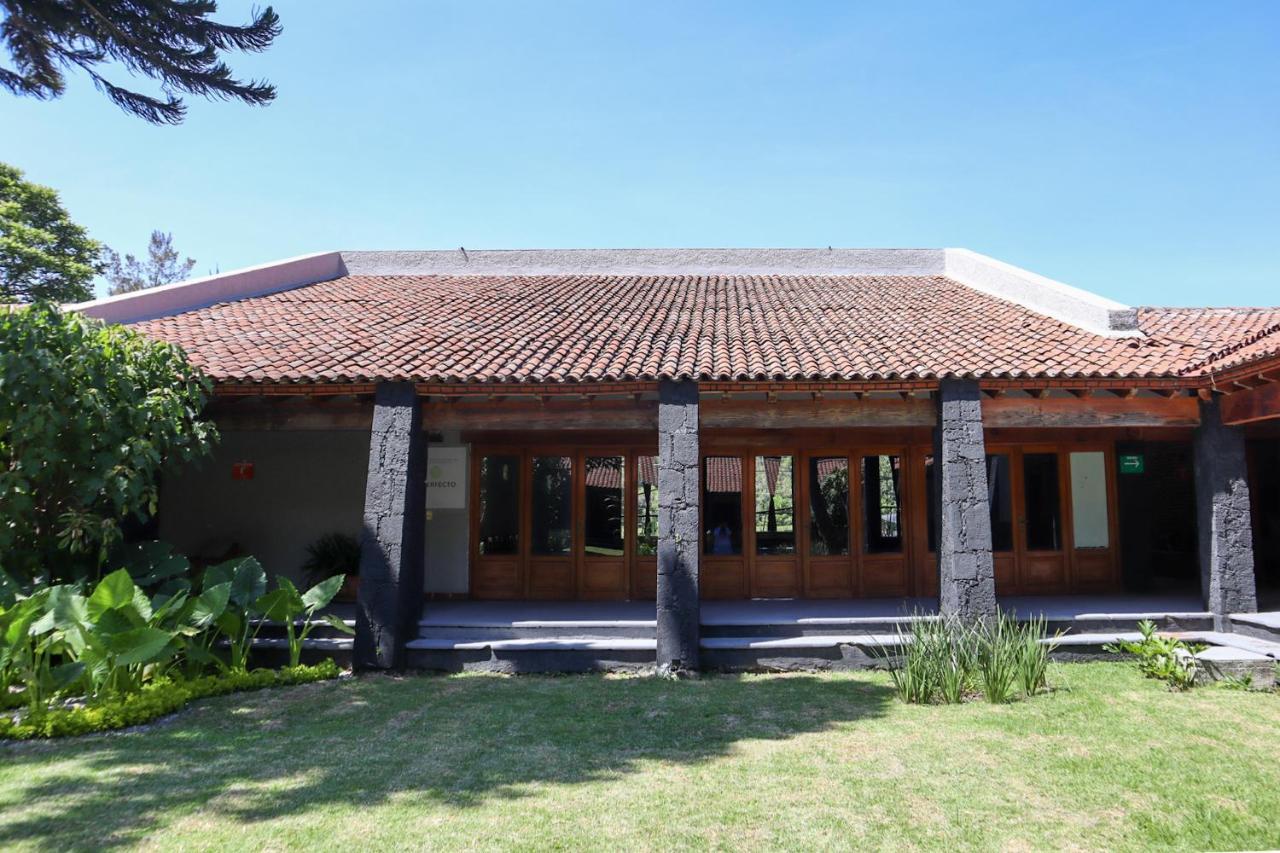 Hotel Organico Boutique Tepoztlan
