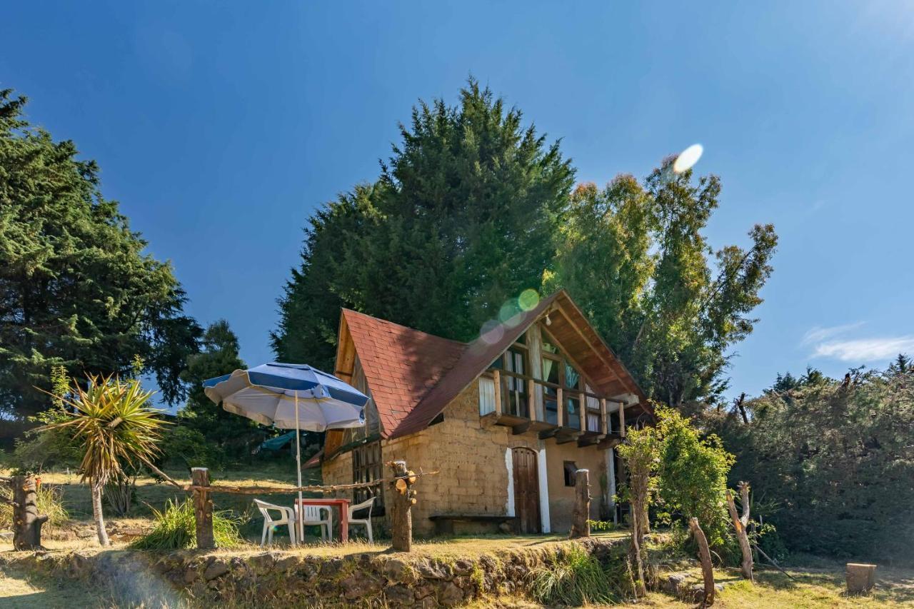 Hotel Hostpal - Cabana Con Temazcal