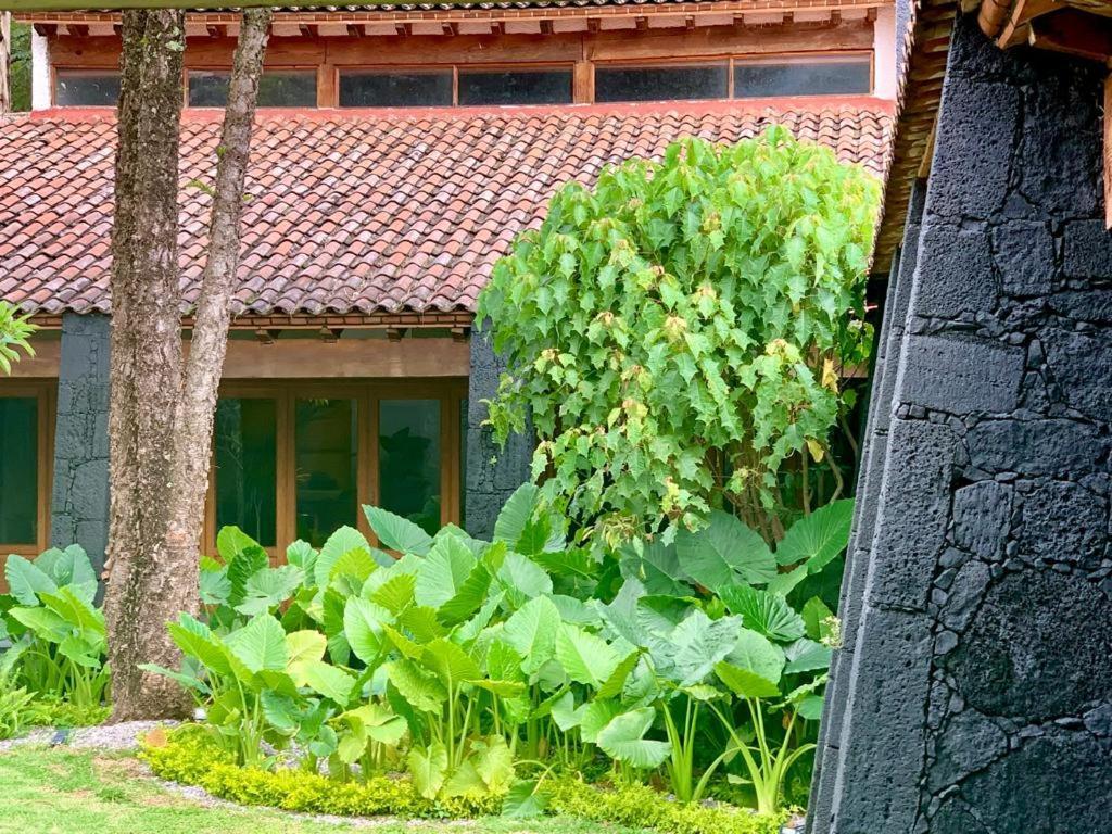 Organico Boutique