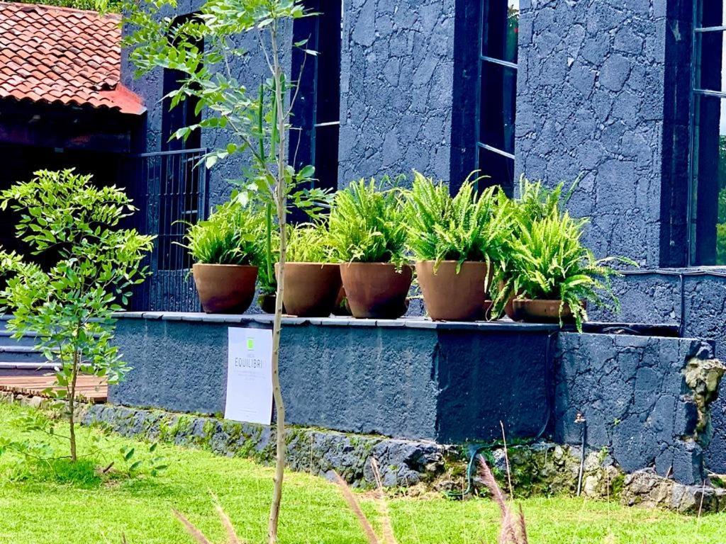 Organico Boutique 5*