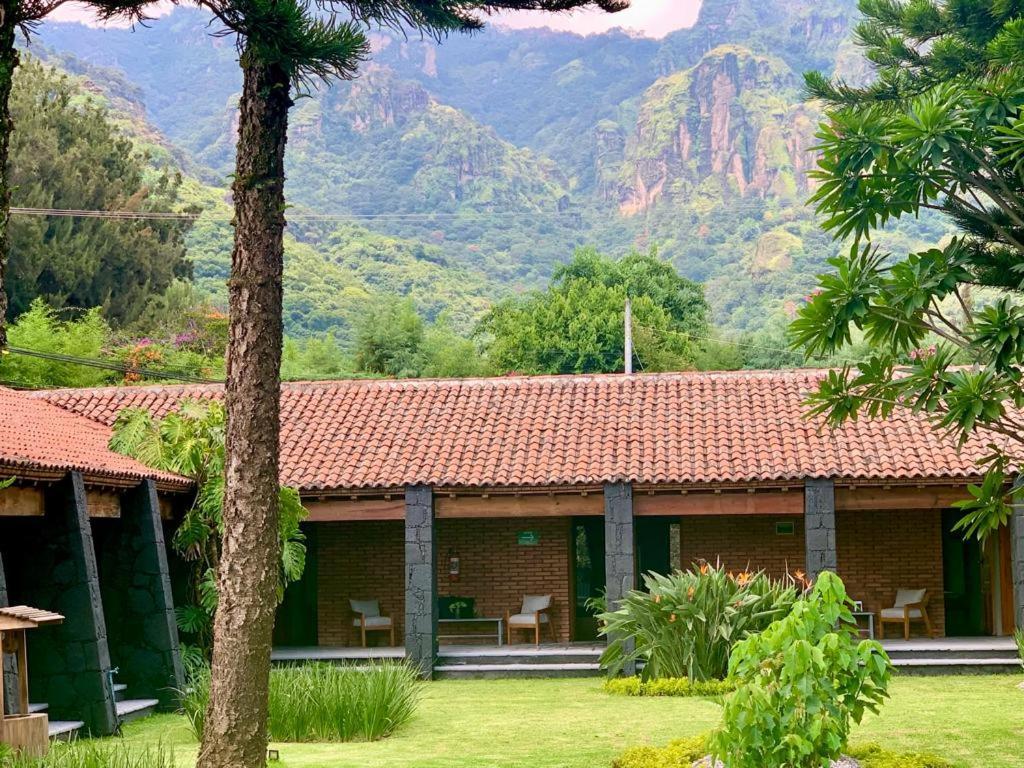 Hotel Organico Boutique 5*