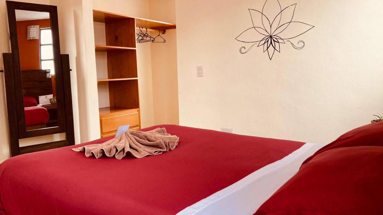 Casa Flor De Vida Guest house