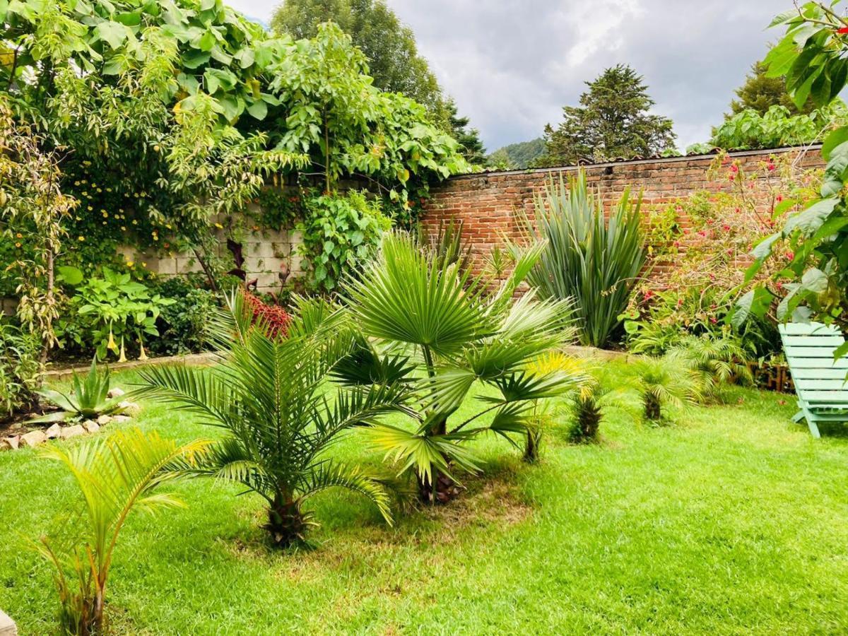 Casa Flor De Vida San Cristobal de las Casas