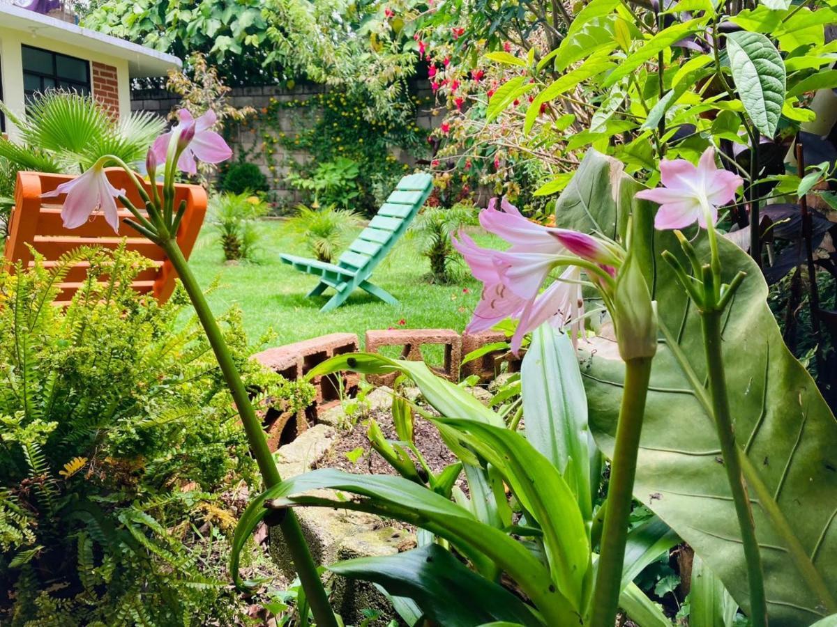 Guest house Casa Flor De Vida *