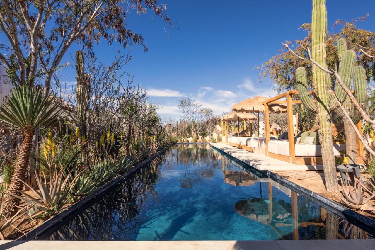 Hotel El Perdido Desert Dream- Adults Only