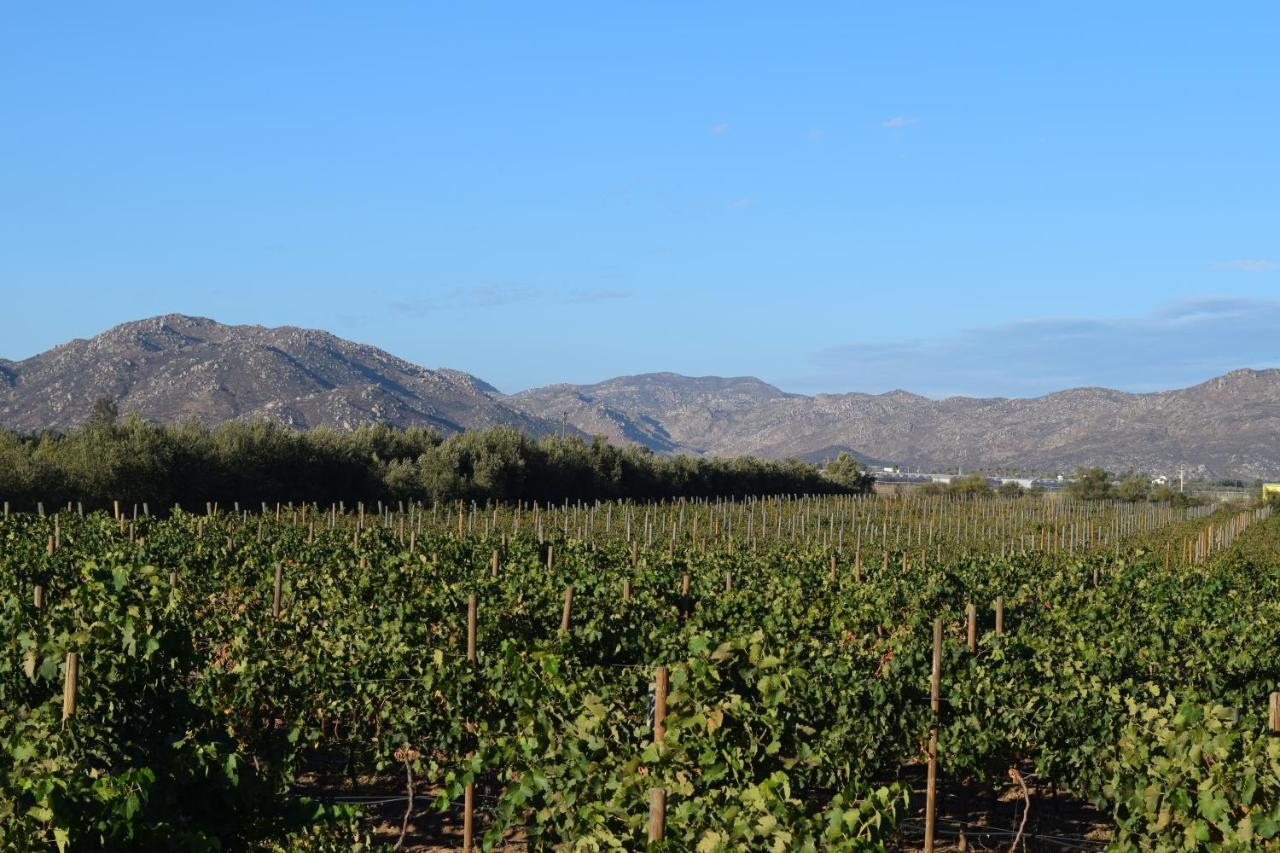 Valle Solea El Porvenir