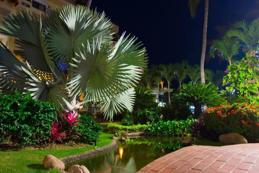 Perfect Place Velas Vallarta Apartment