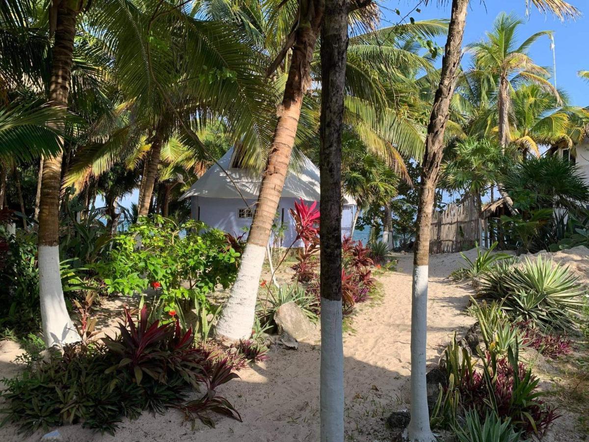 Lodge Chez Gigi - Eco Mahahual