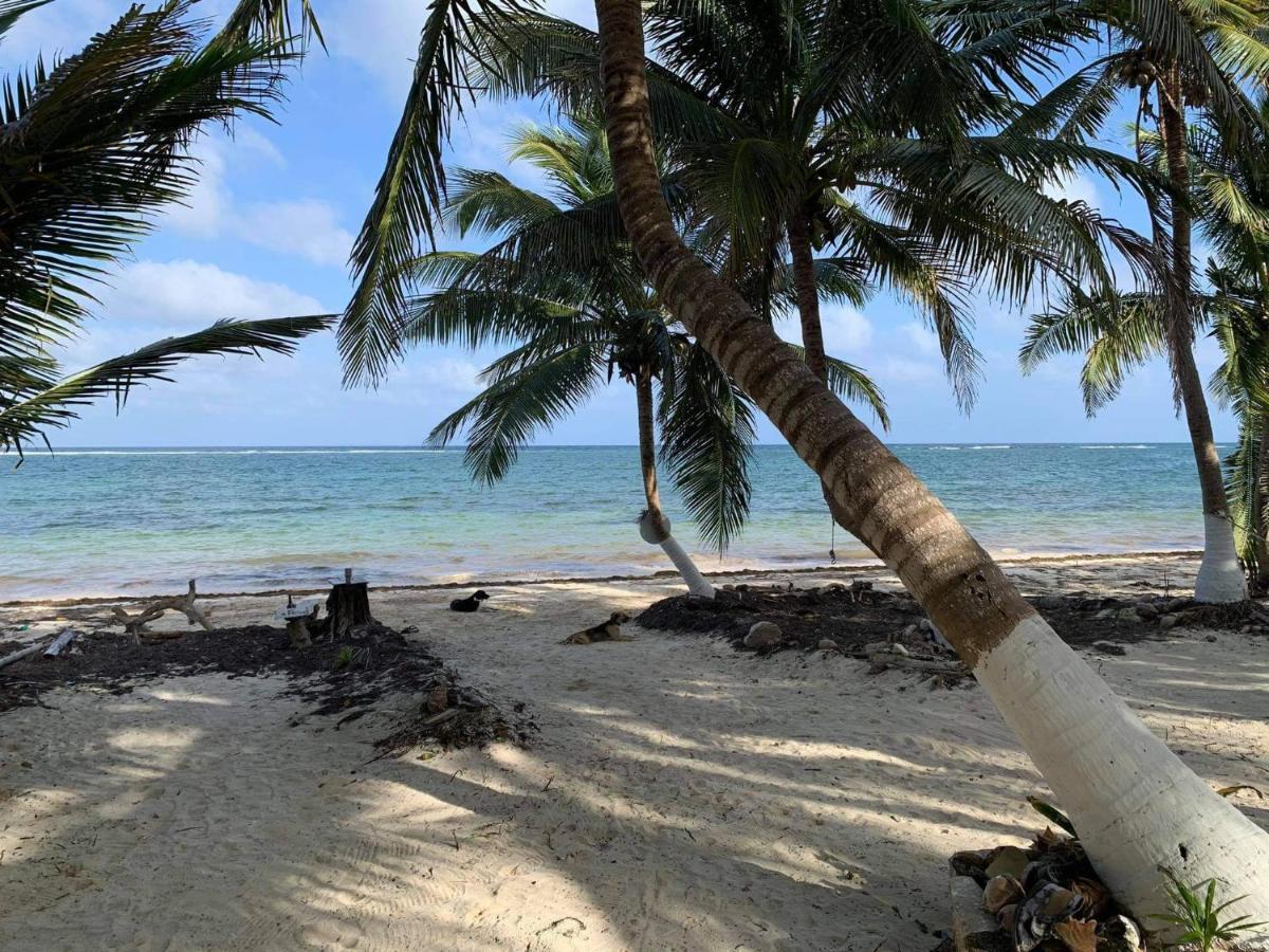 Lodge Chez Gigi - Eco Mahahual