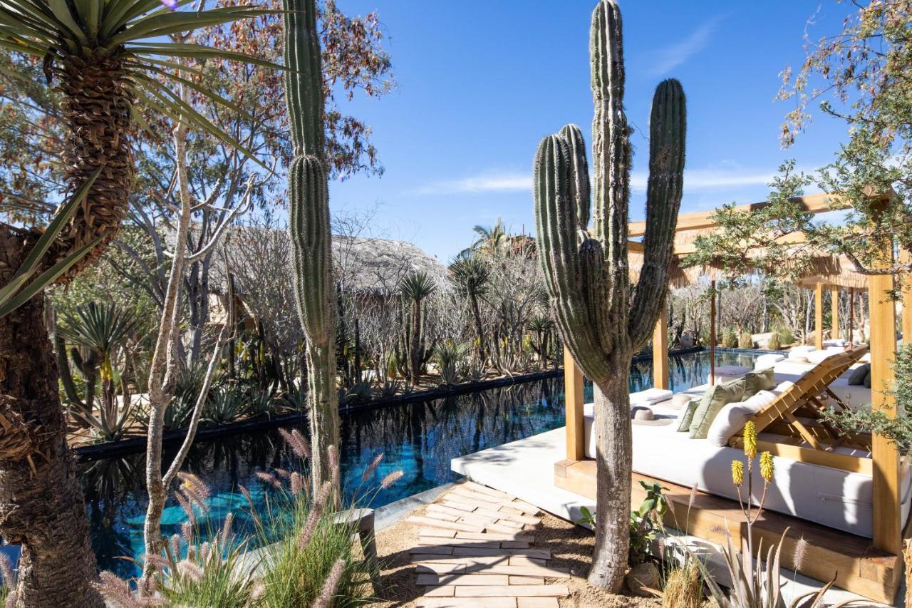 El Perdido Desert Dream- Adults Only Hotel