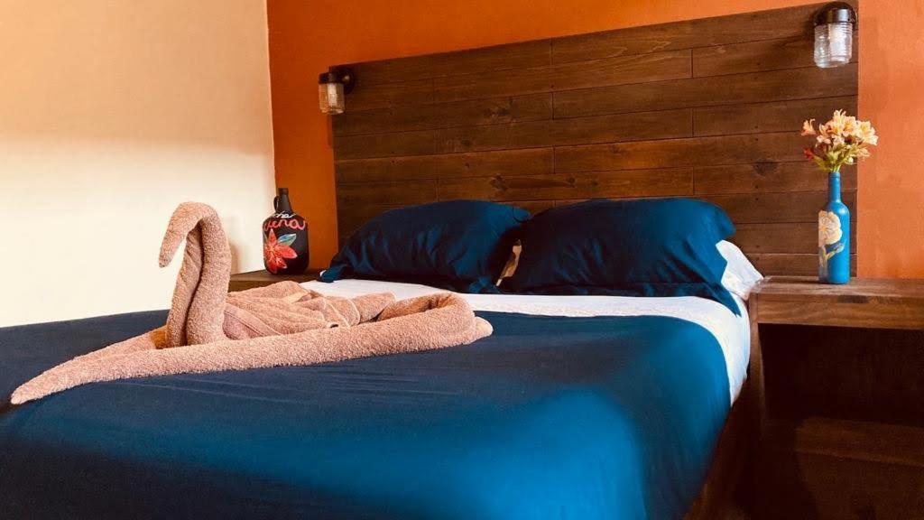 Guest house Casa Flor De Vida