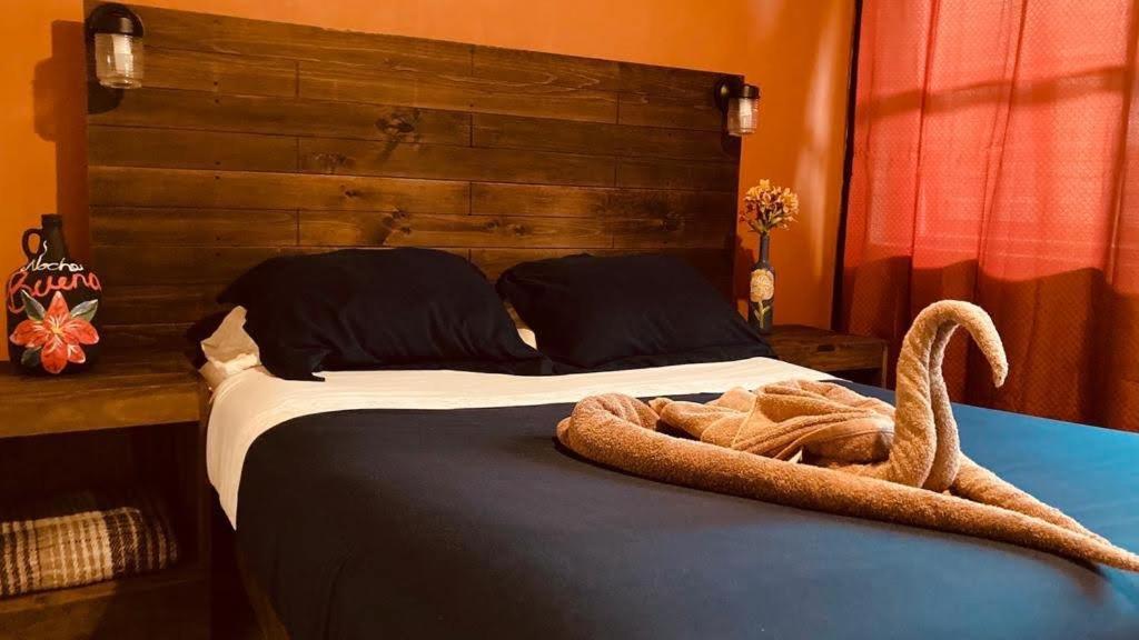 Casa Flor De Vida Guest house *