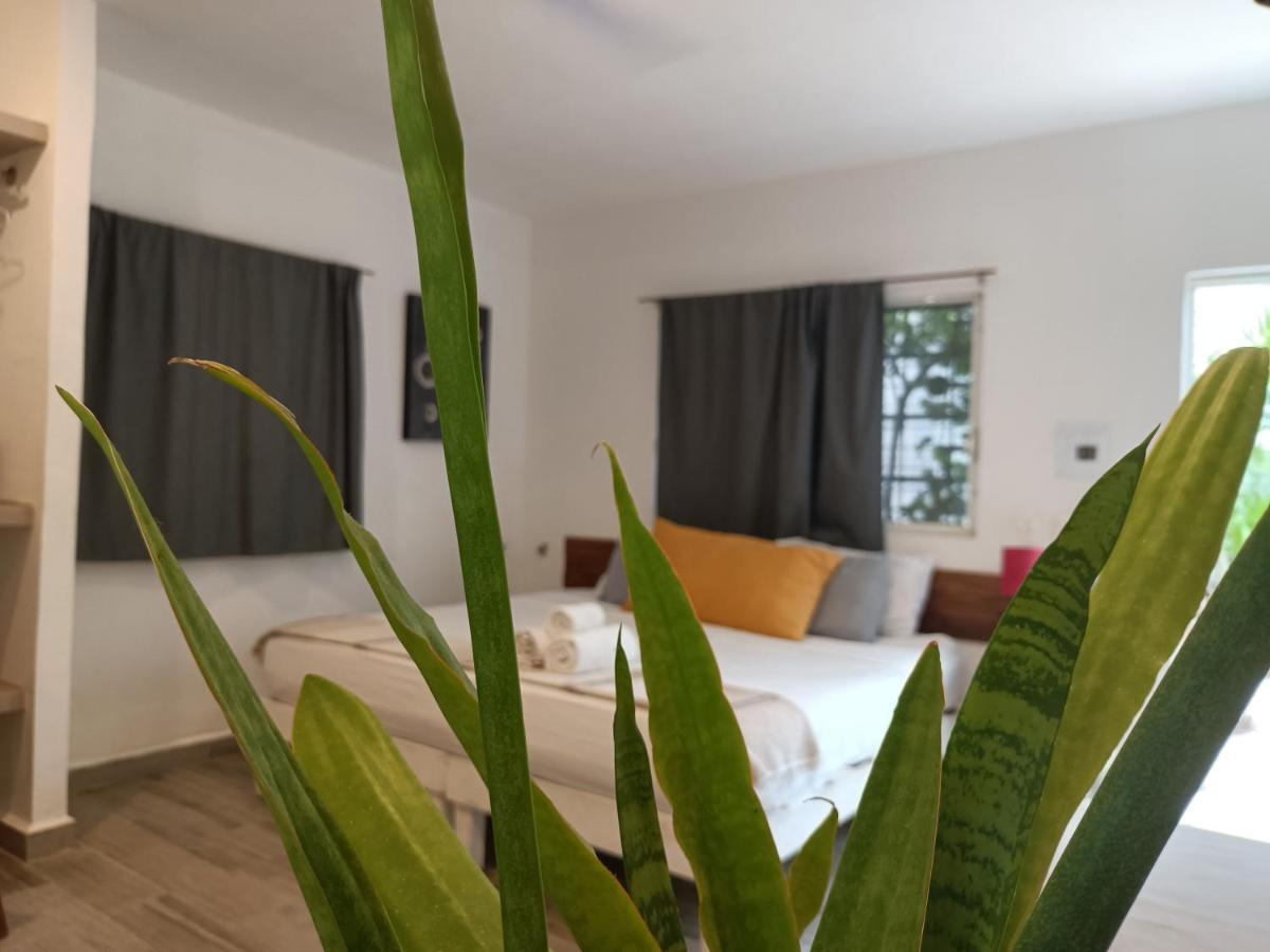 Kika Guest house
