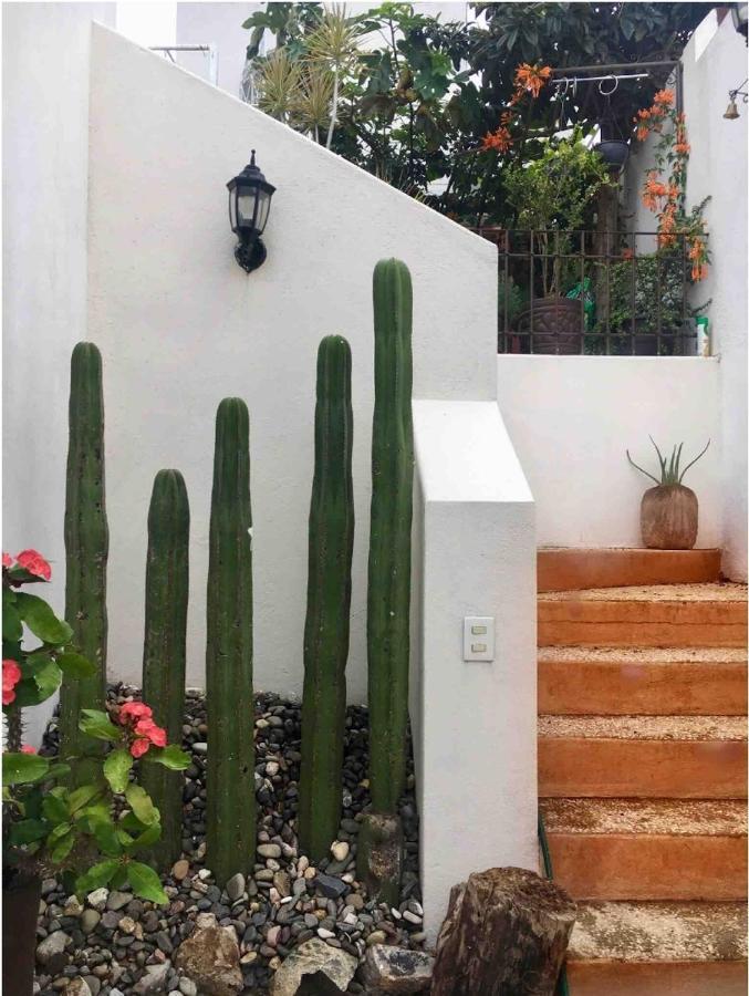 Guest house Casa Maru