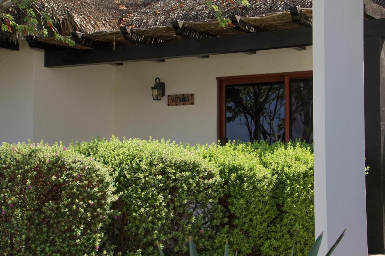 Vista Bed & Breakfast 4*
