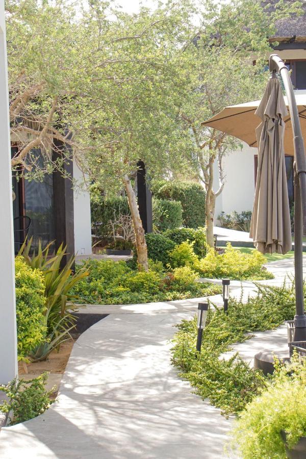 Vista Bed & Breakfast