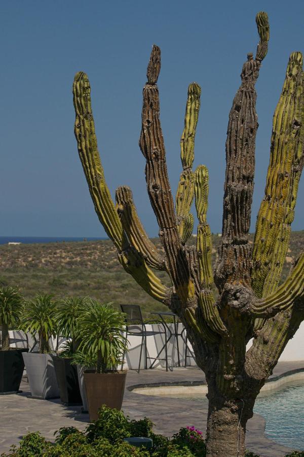 Bed & Breakfast Vista La Ribera