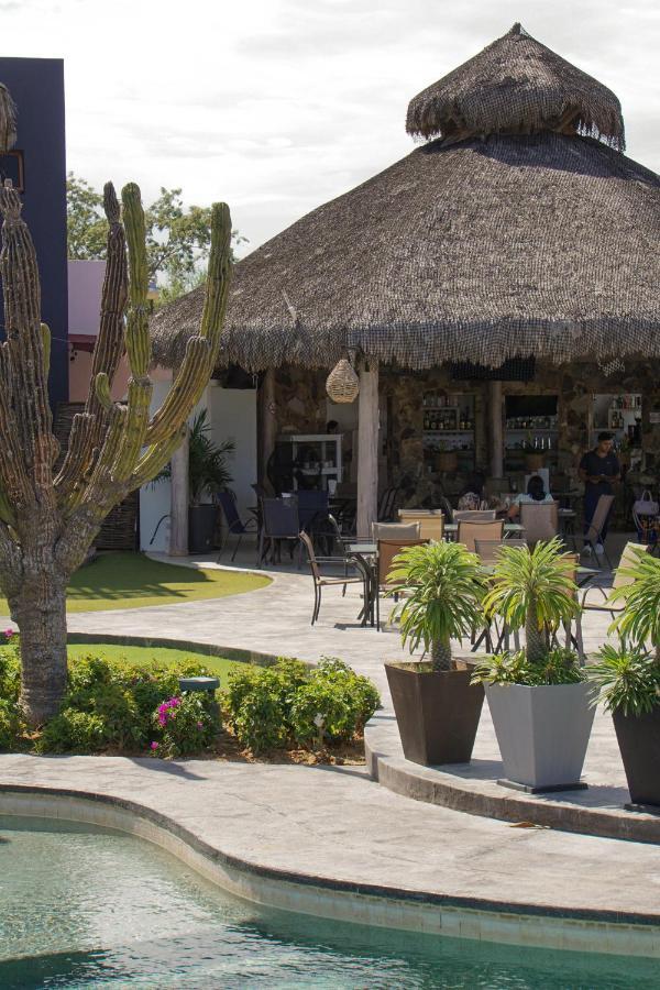 Vista Bed & Breakfast La Ribera