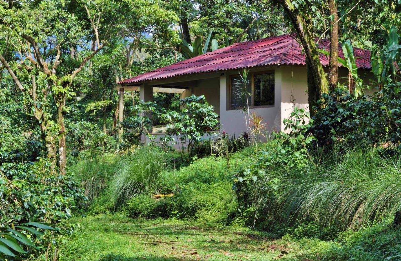 Hotel Argovia Ecolodge 5*