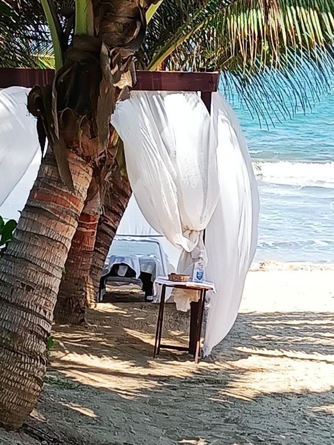 Peninsula * Nuevo Vallarta