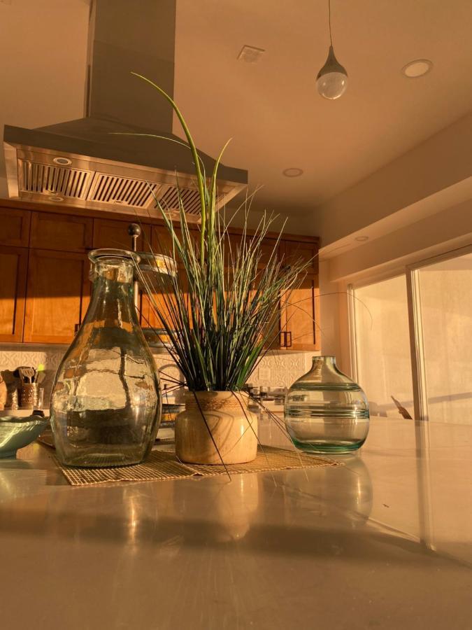 Beachfront 4 Bedroom Penthouse - Pool Steps To & Mins To Downtown