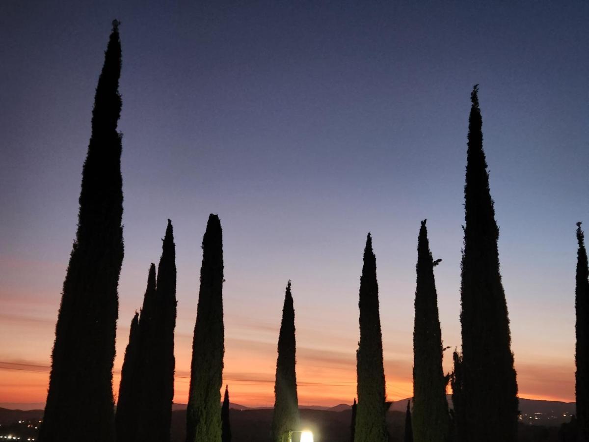 Casa Cipres Valle de Guadalupe
