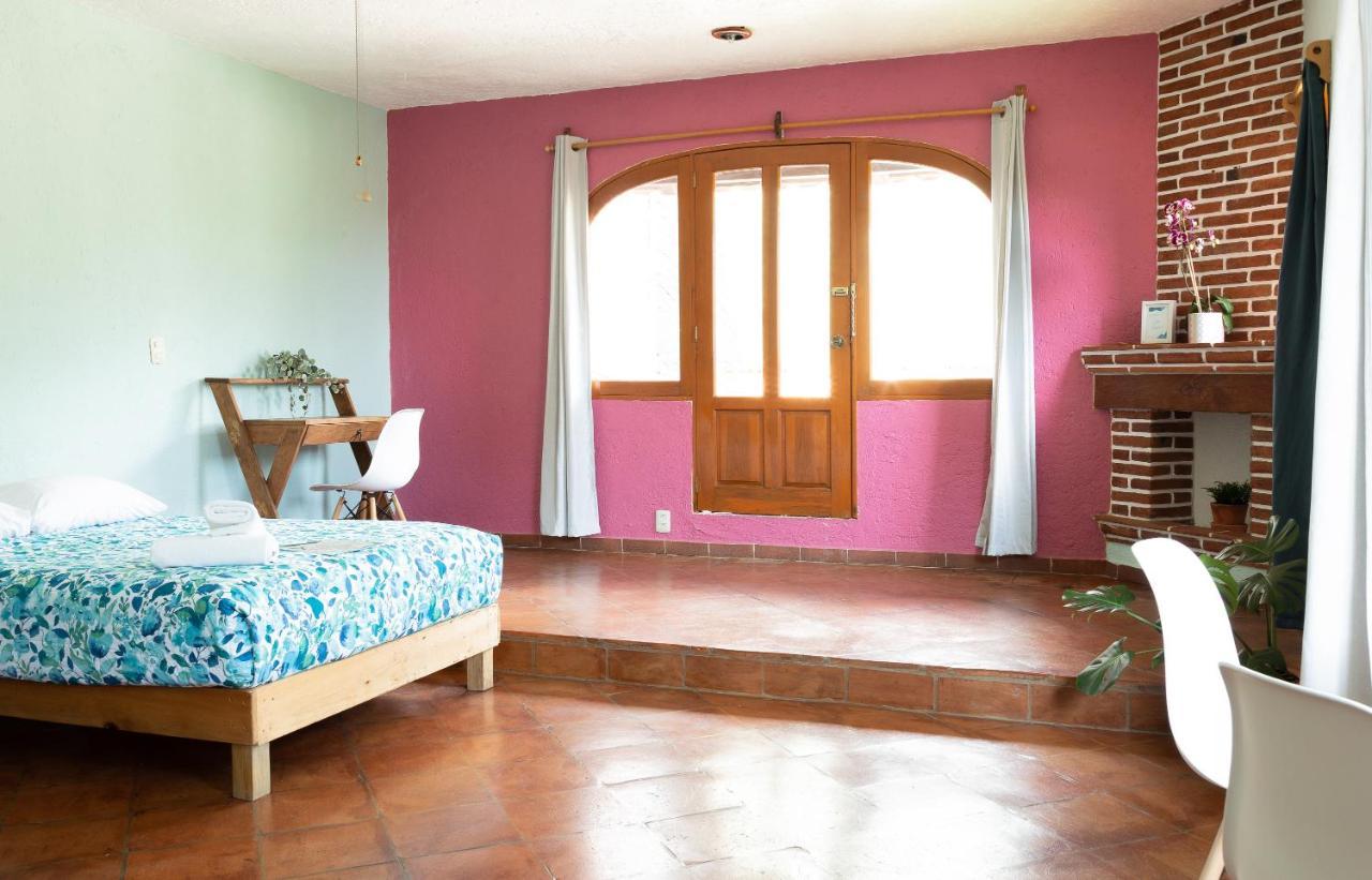 Colibri Turquesa 3*