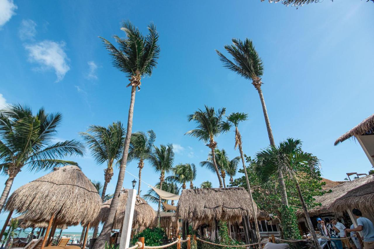 Amaite Hotel Isla Holbox