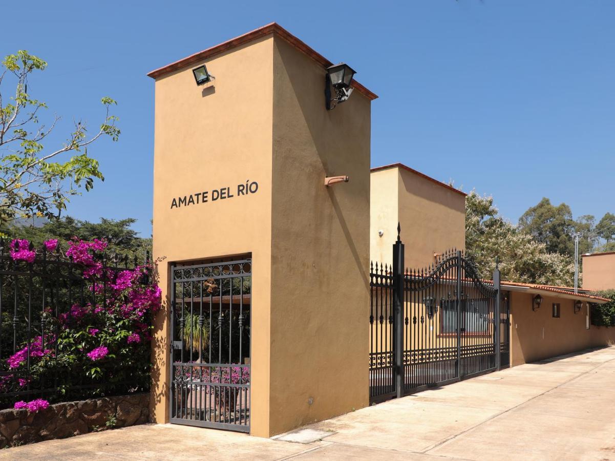Amate Del Rio