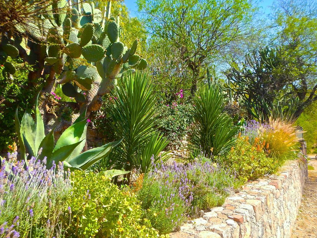 Bed & Breakfast Sagrada Boutique Hotel San Miguel de Allende