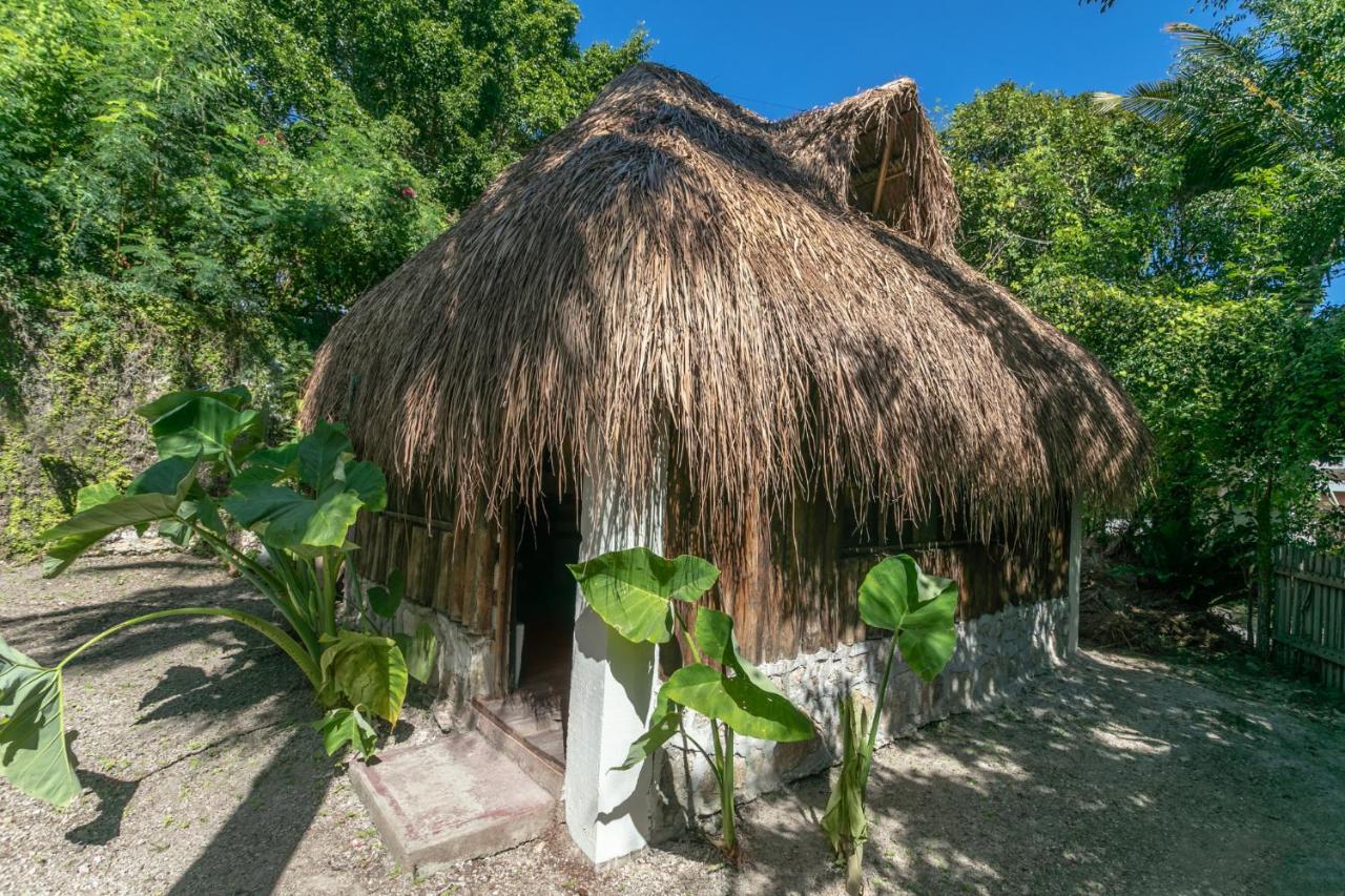 Santuario Front Oasis Bacalar