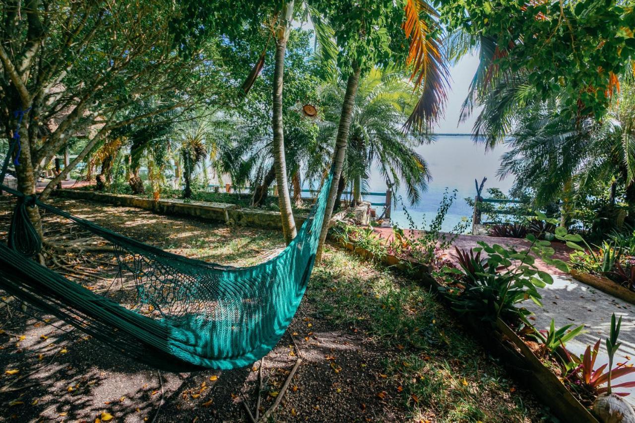 Santuario Front Oasis