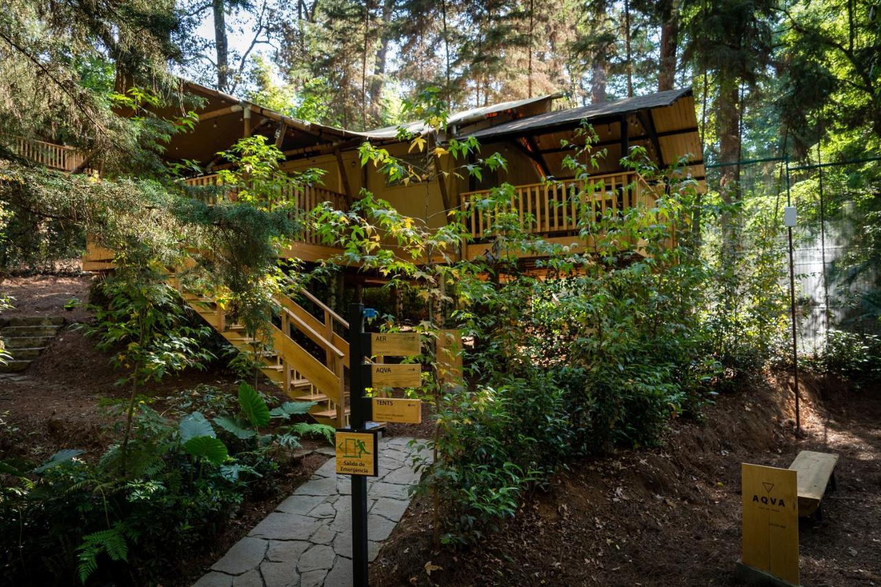 Almendra: De Lujo Lodge