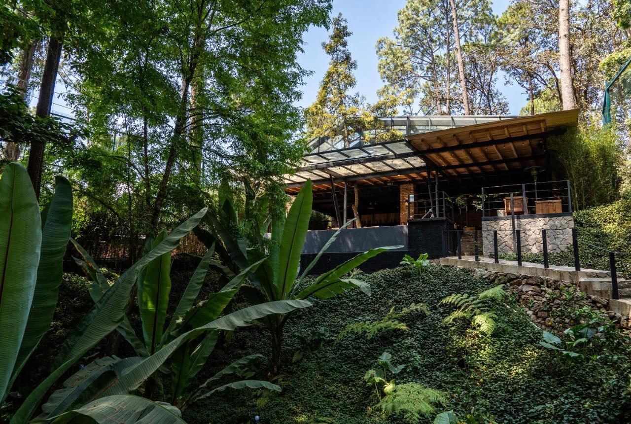 Almendra: De Lujo Lodge