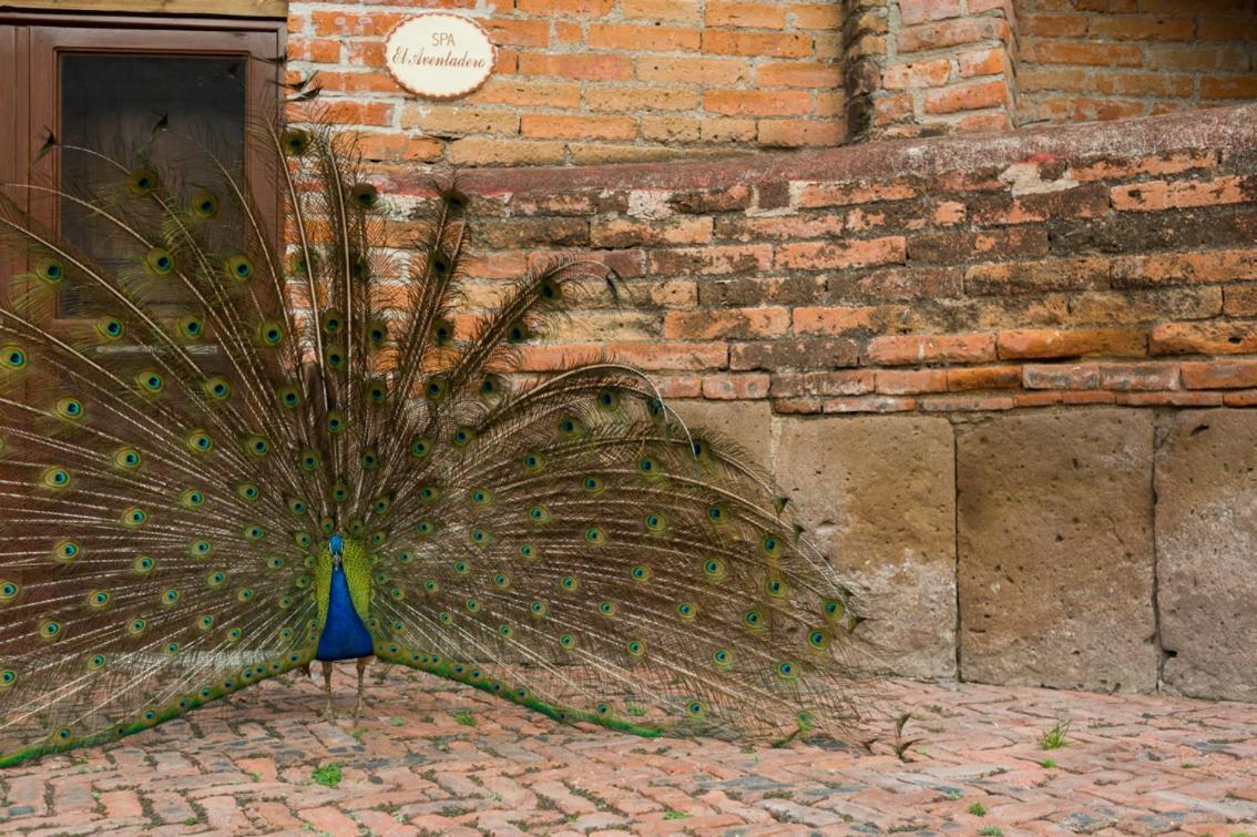 Hacienda Sepulveda & (adults Only)