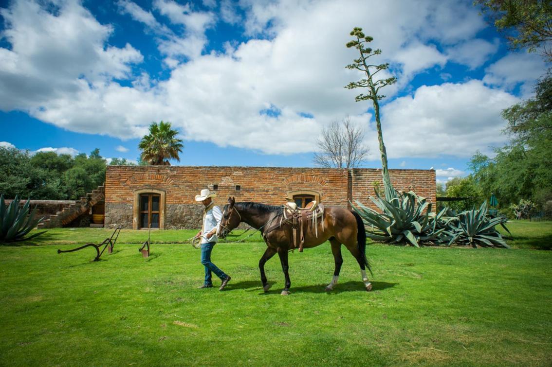 Hacienda Sepulveda & (adults Only) Hotel