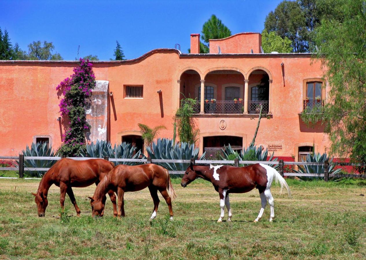 Hacienda Sepulveda & (adults Only) Hotel
