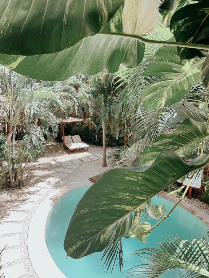 Luna Llena Hotel Tulum