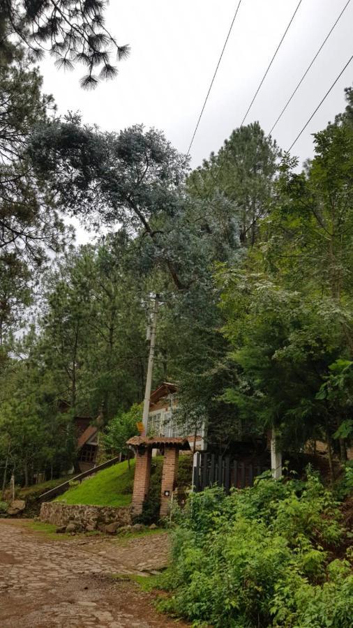 Campsite Alazanas 3*