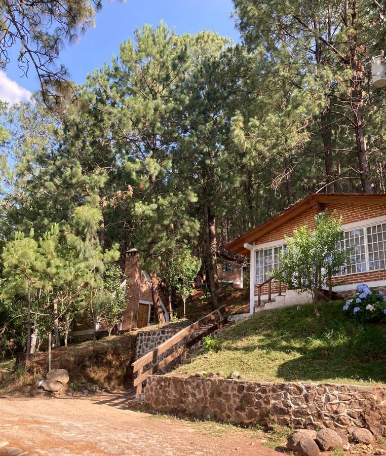 Campsite Alazanas 3*