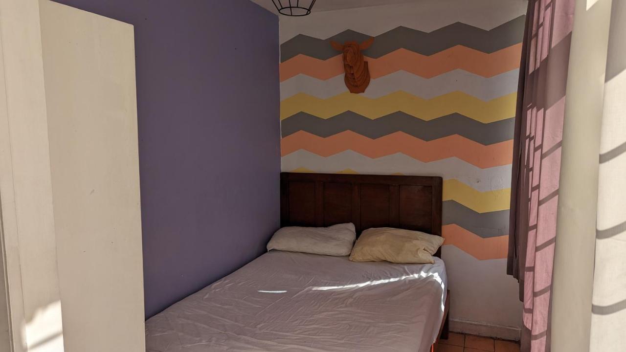 Hostel Blue Pepper Chapultepec Guadalajara