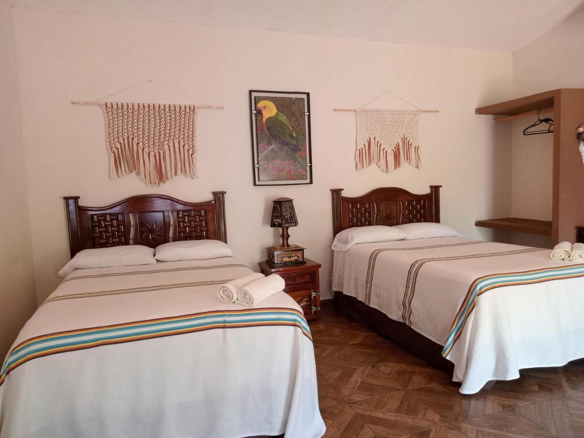 Lodge Victoria Mirador *